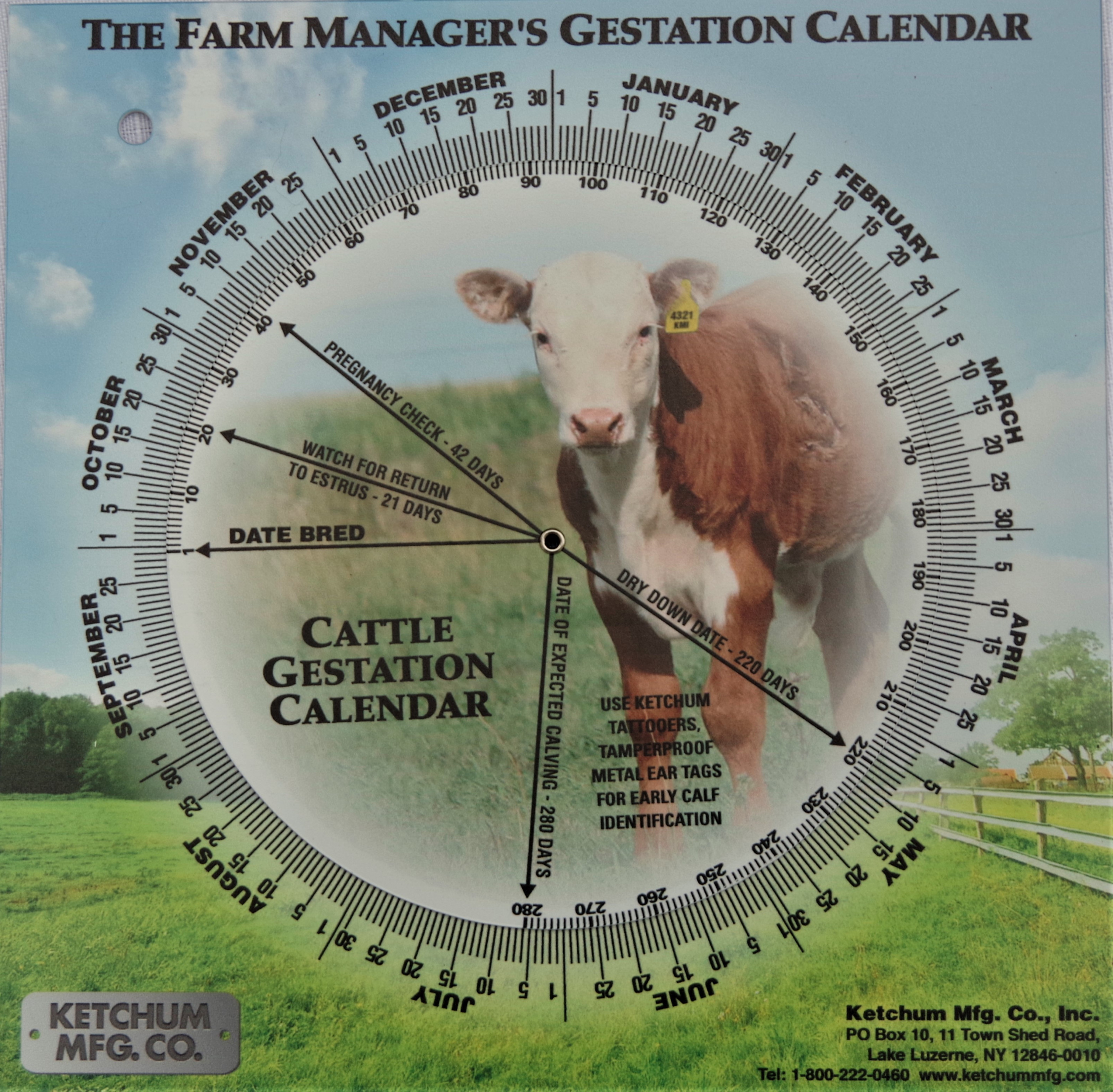 Animal Gestation calendar