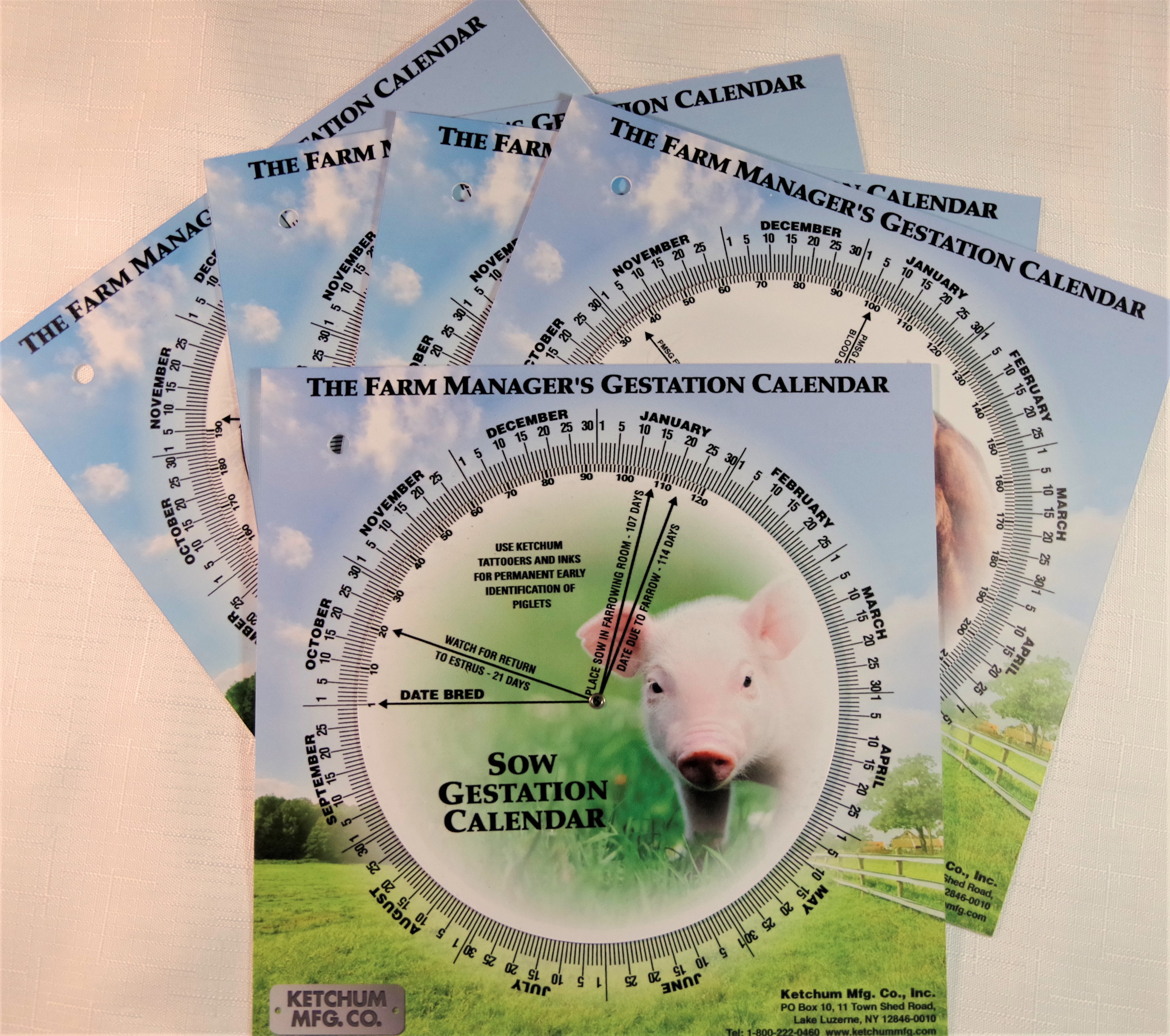 Animal Gestation calendar