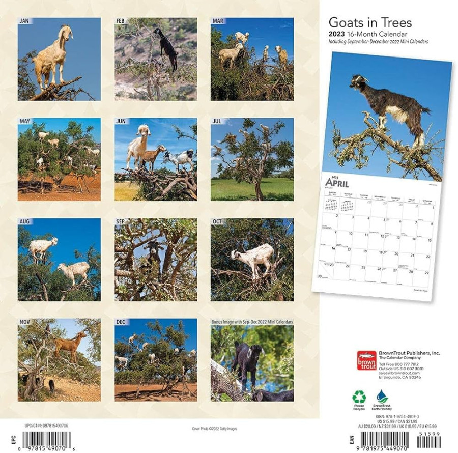 Goats in Trees    x  Inch Monthly Square Wall Calendar