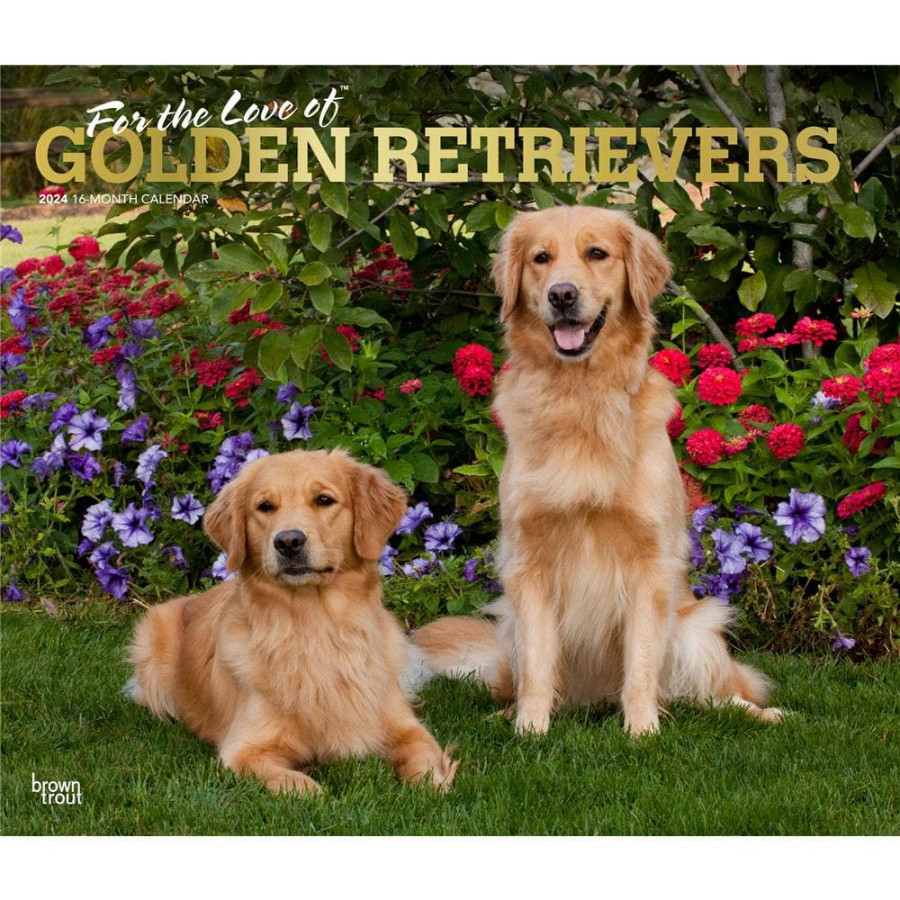 Golden Retrievers - For the Love of  Deluxe Wall Calendar