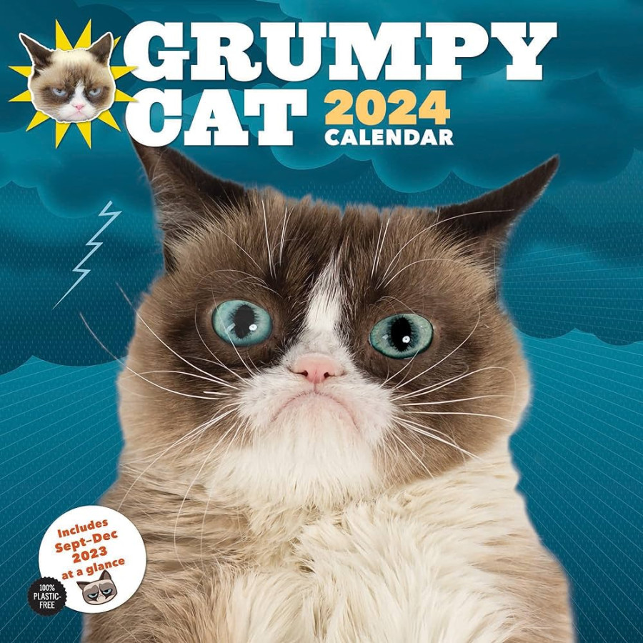 Grumpy Cat  Wall Calendar