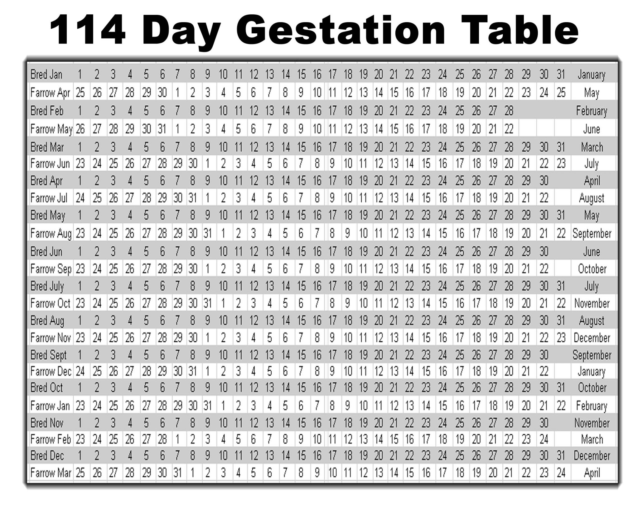 Swine/Pig Gestation Table