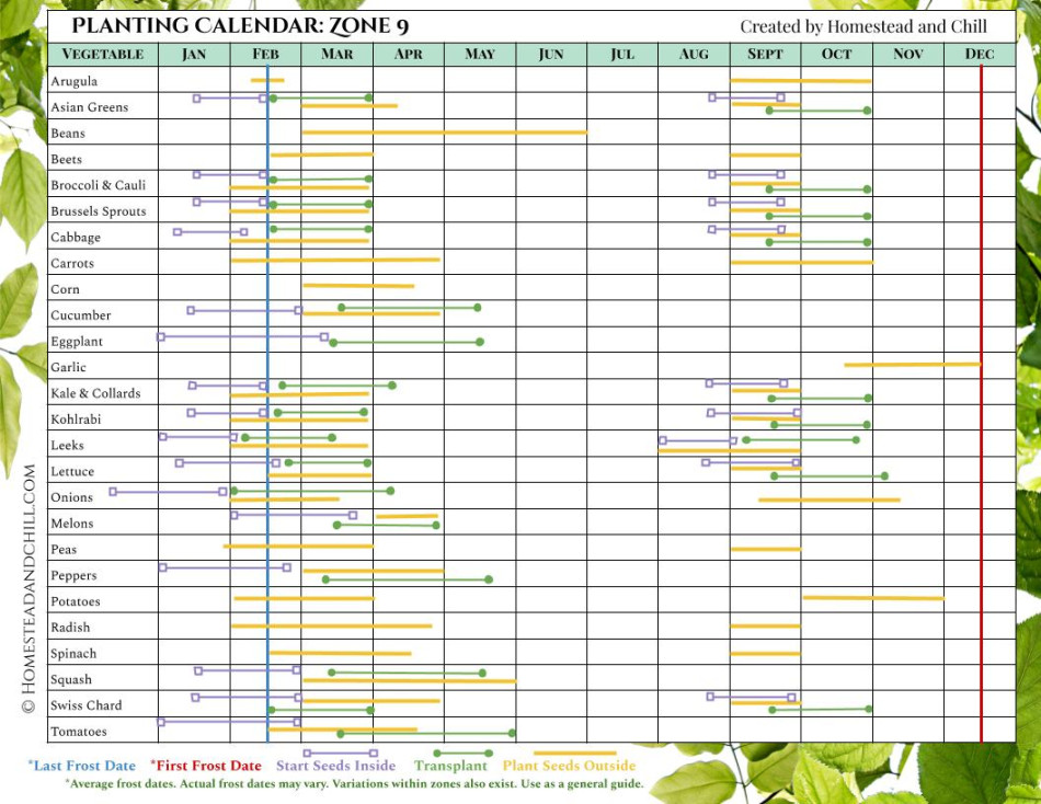 When to Start Seeds: Garden Planting Calendars for Every Zone