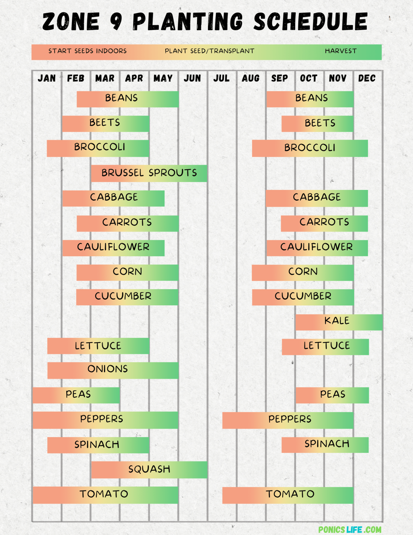 Zone  Planting Schedule and Calendar: A Quick Guide