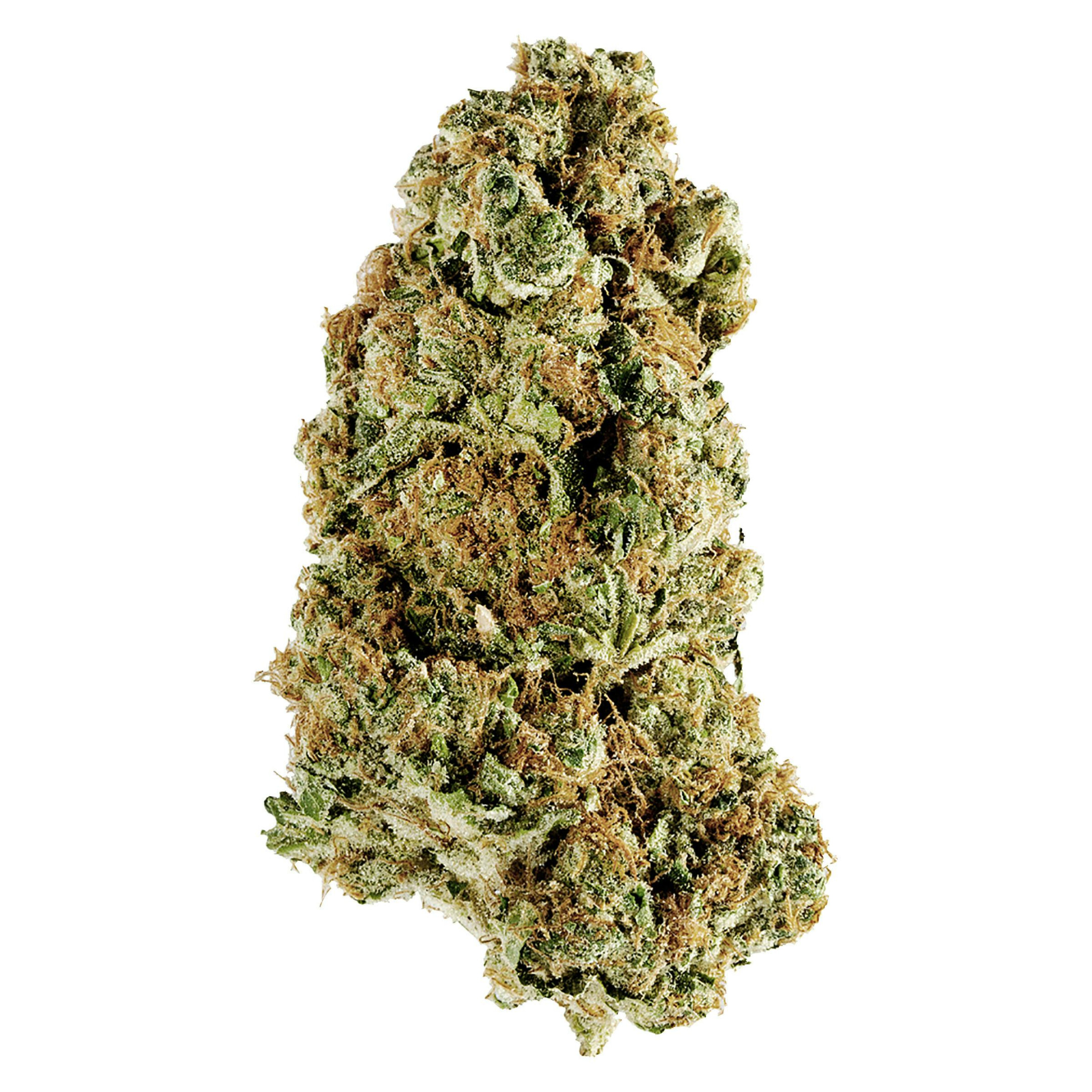 REDECAN - ANIMAL RNTZ  Yield Cannabis - Sarnia