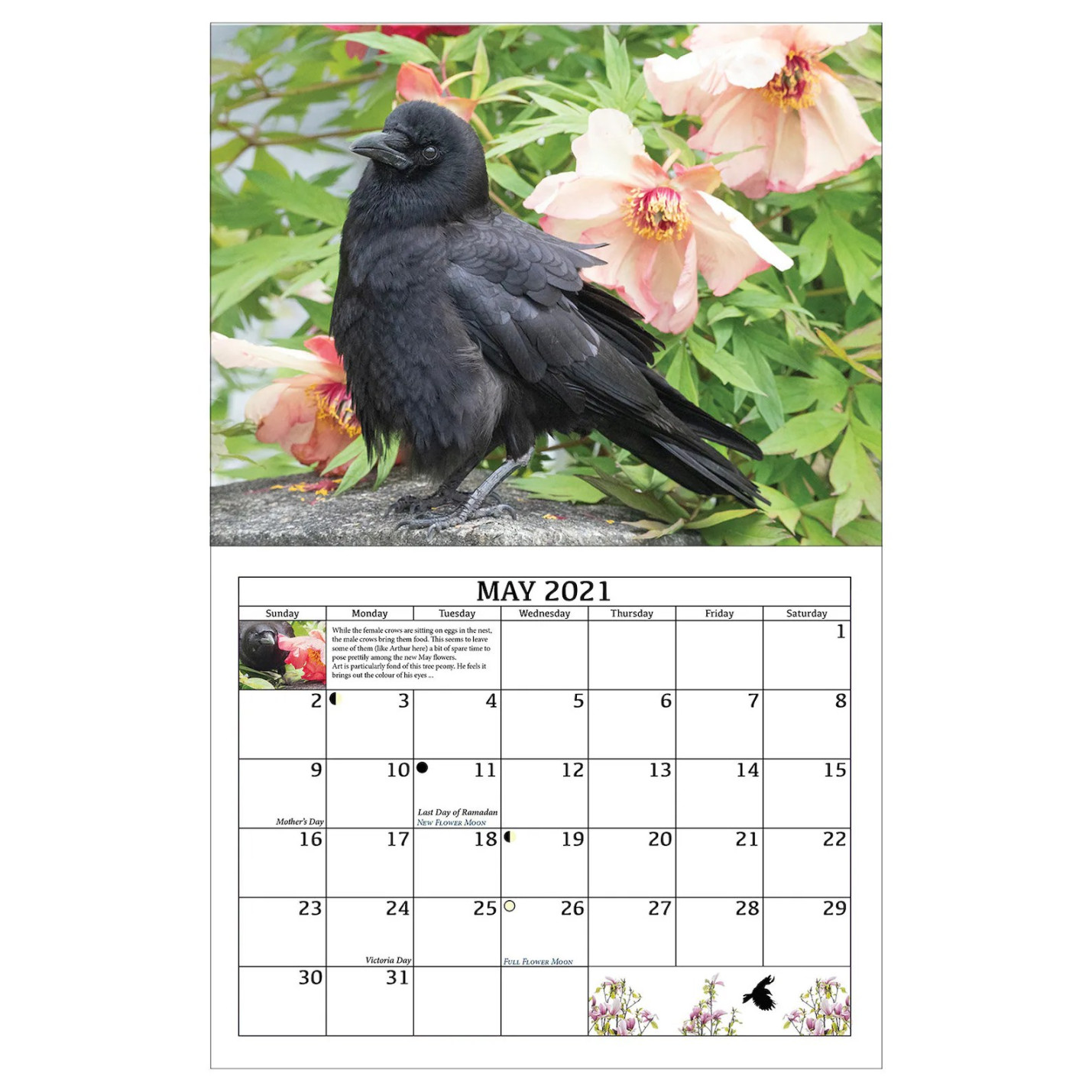 Crow Wing County Court Calendar - Printable Word Calendar