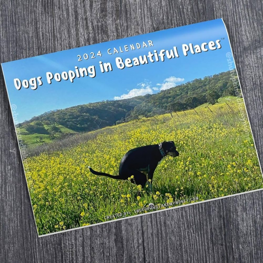 Dogs Pooping In Beautiful Places  Calendar - Holiday Christmas Gag Gift  White Elephant