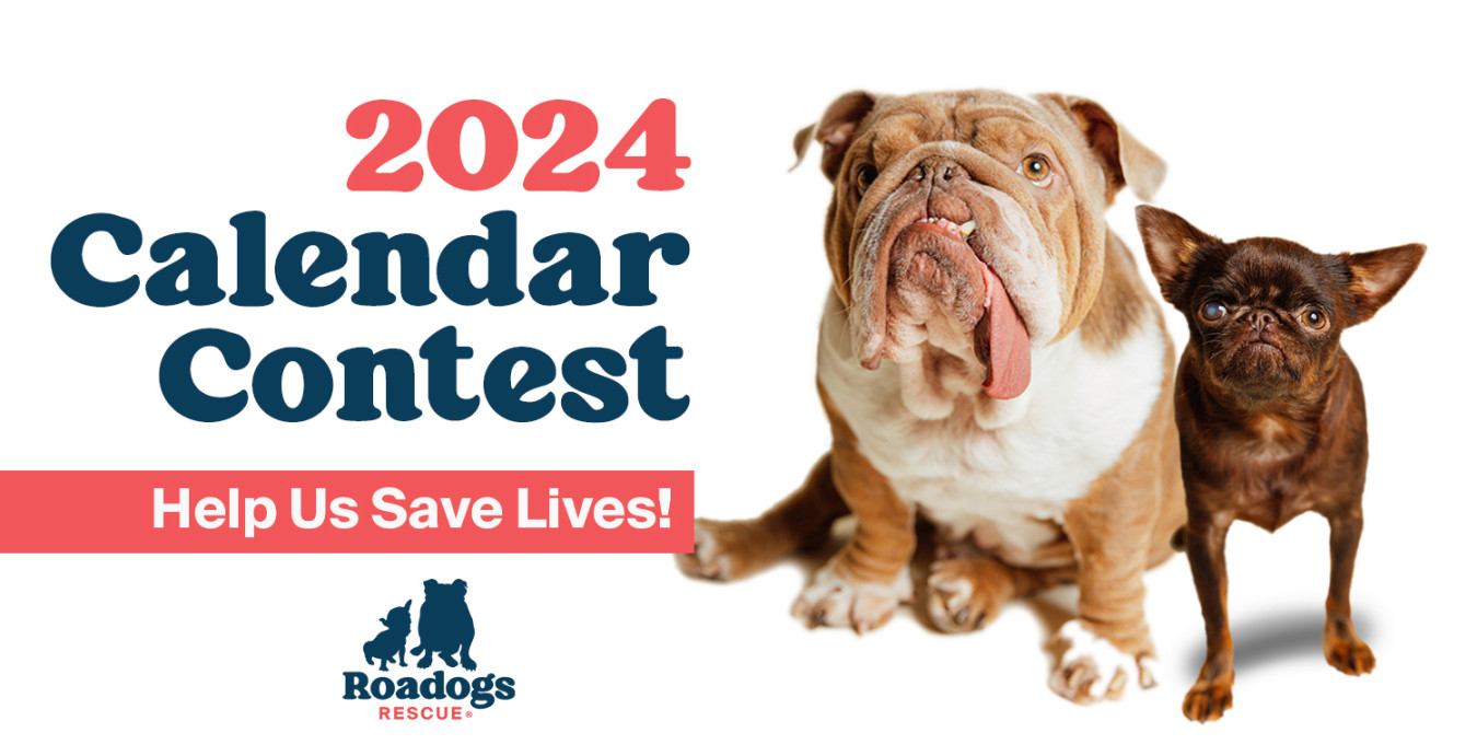 Road Dogs & Rescue  Roadogs Rescue Bulldog Guide to Happiness
