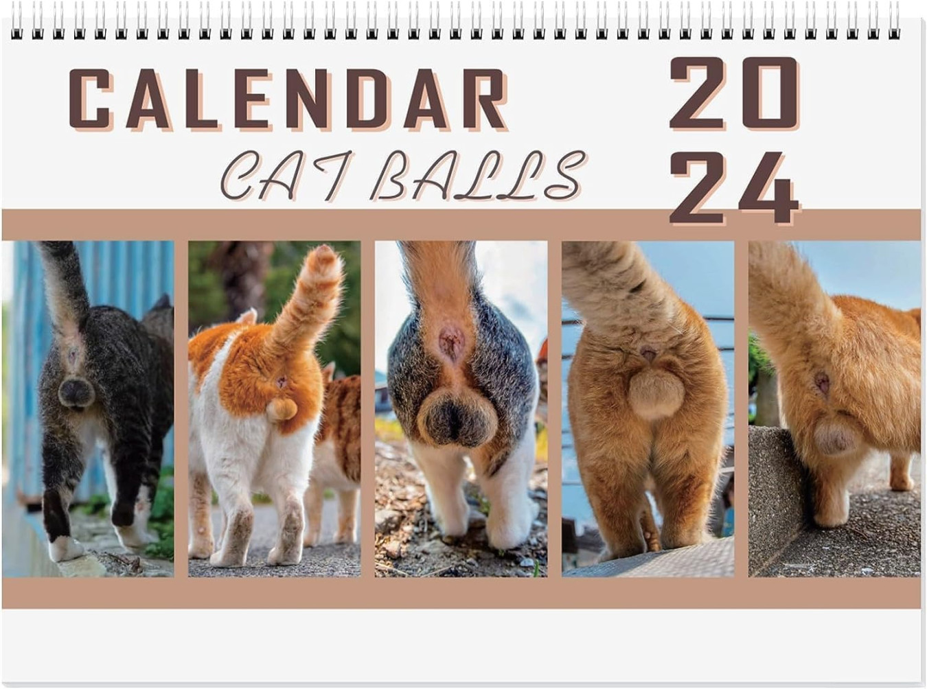 Cat Balls Calendar , Yearly Wall Calendar, Funny Cat Calendar, Hangable  Monthly Wall Art Family Calendar, Cute Planning Organizing Daily Scheduler