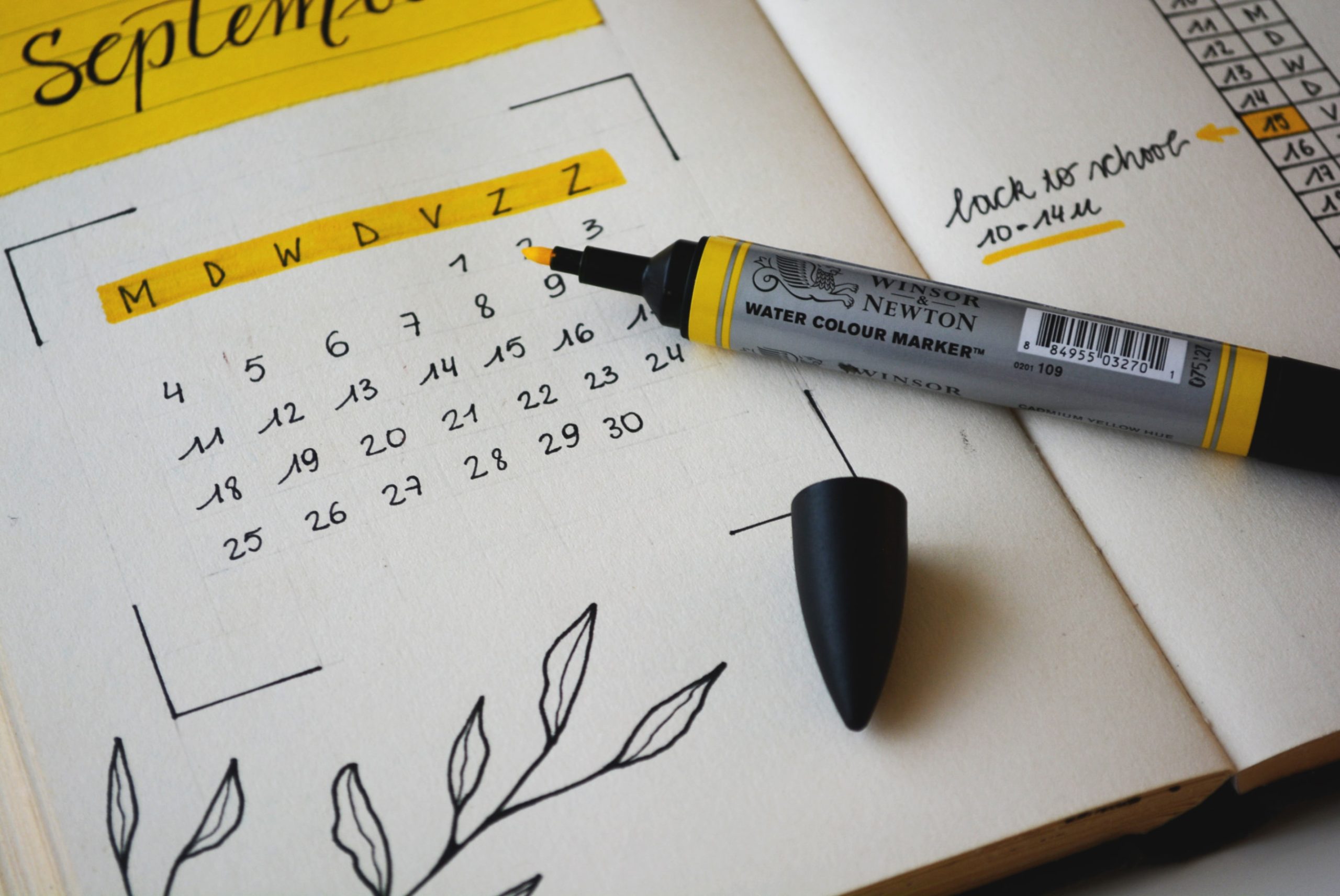 days from today - insert the date anywhere with a keyboard shortcut