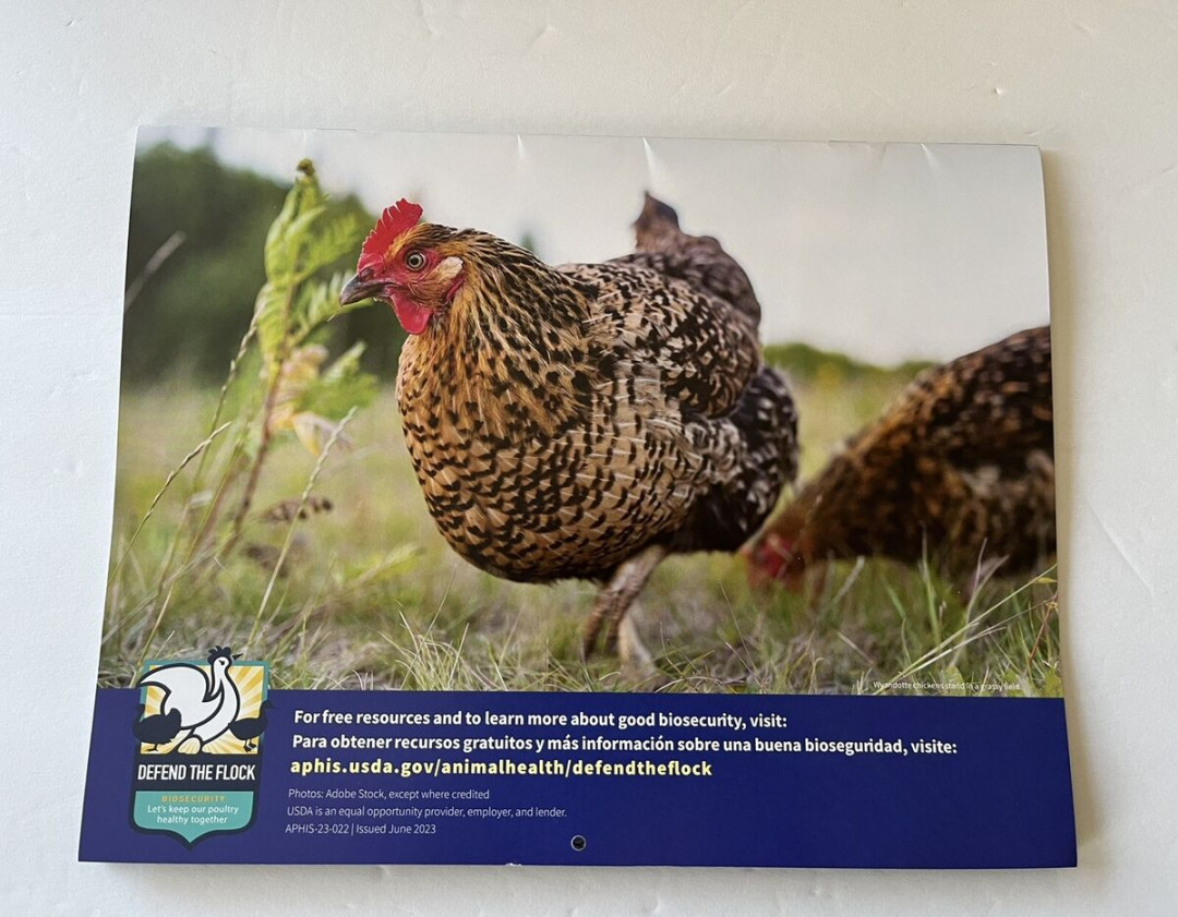 USDA Defend The Flock  Hanging Wall Calendar Chicken Birds Chicks Hens
