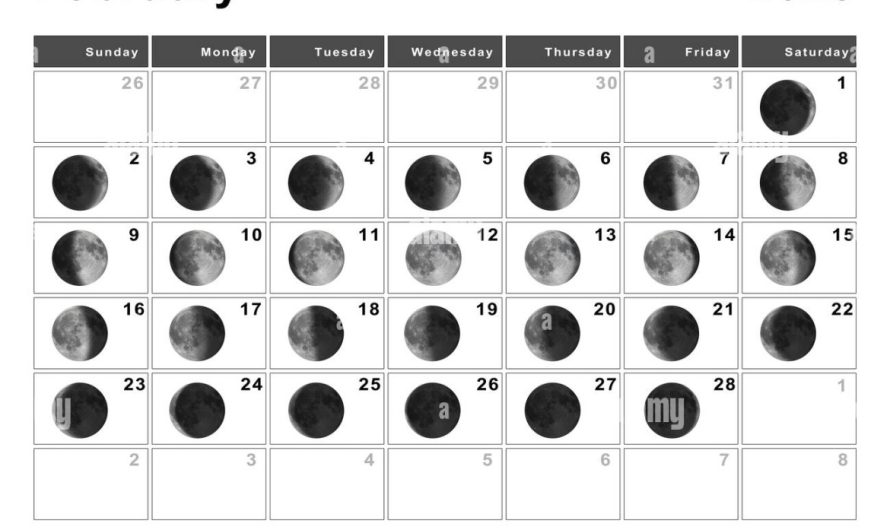 Moon Calendar February 2025